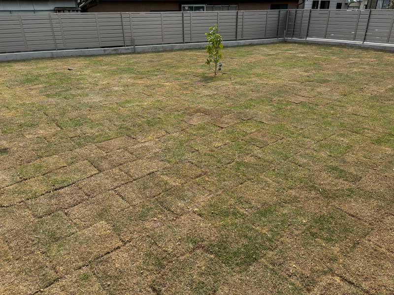 天然芝太田市外構施工例