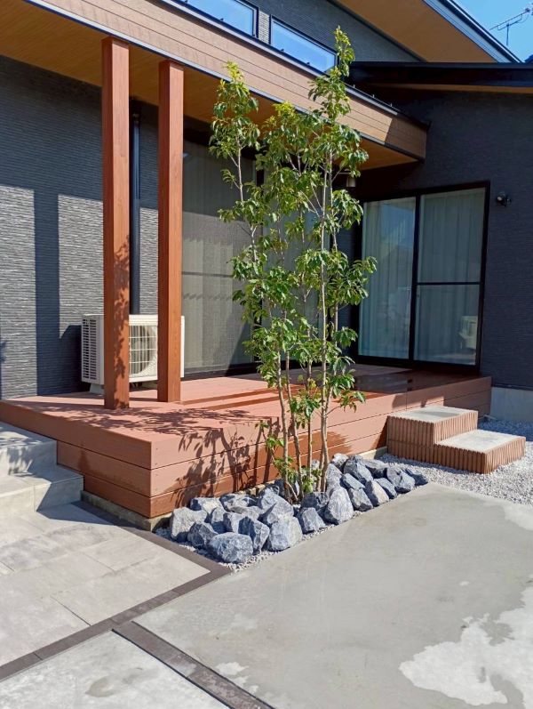 群馬県安中市ソヨゴ