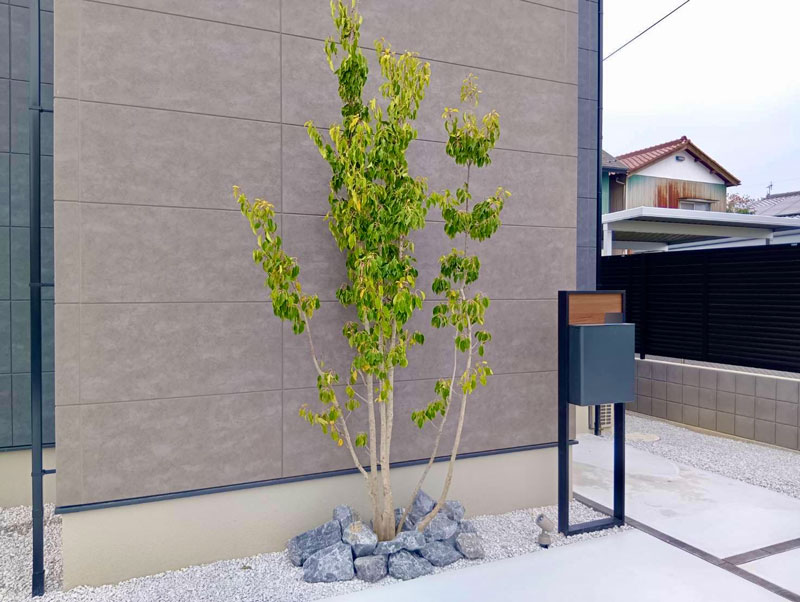前橋市外構ファサードおしゃれ植栽
